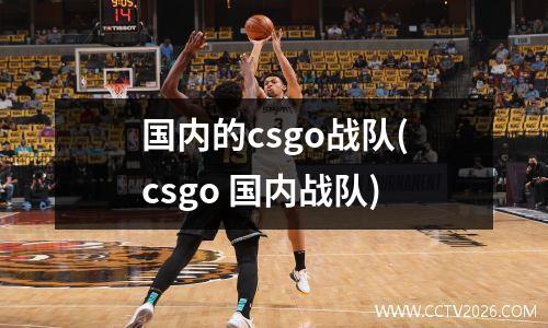 国内的csgo战队(csgo 国内战队)