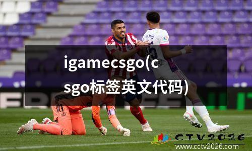 igamecsgo(csgo标签英文代码)