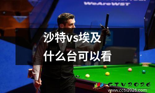 沙特vs埃及什么台可以看