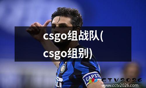 csgo组战队(csgo组别)