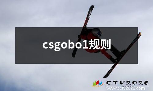 csgobo1规则