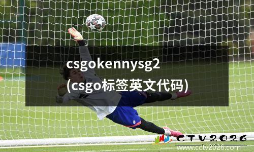 csgokennysg2(csgo标签英文代码)