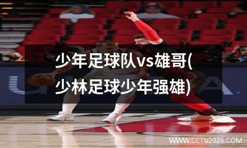 少年足球队vs雄哥(少林足球少年强雄)