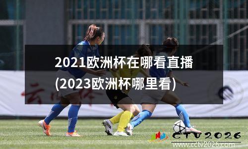 2021欧洲杯在哪看直播(2023欧洲杯哪里看)