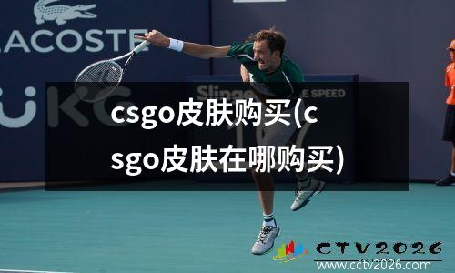 csgo皮肤购买(csgo皮肤在哪购买)