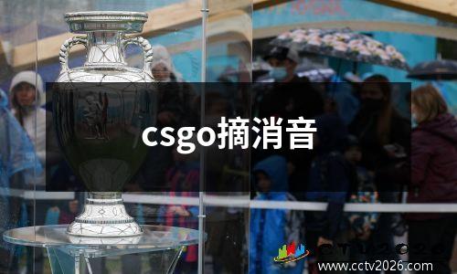 csgo摘消音