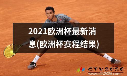 2021欧洲杯最新消息(欧洲杯赛程结果)