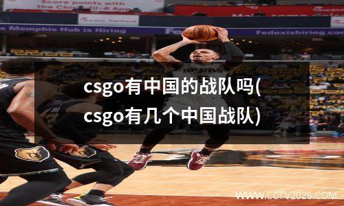 csgo有中国的战队吗(csgo有几个中国战队)