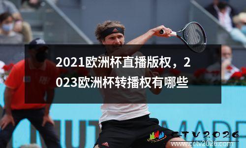 2021欧洲杯直播版权，2023欧洲杯转播权有哪些