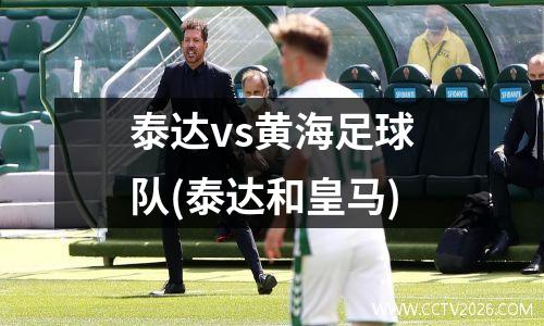 泰达vs黄海足球队(泰达和皇马)
