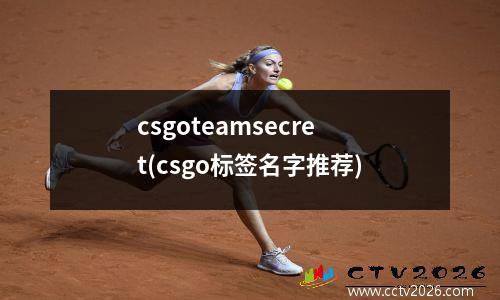 csgoteamsecret(csgo标签名字推荐)