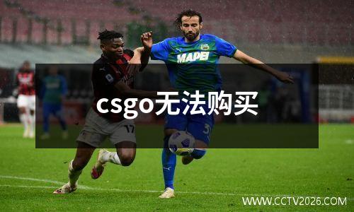 csgo无法购买