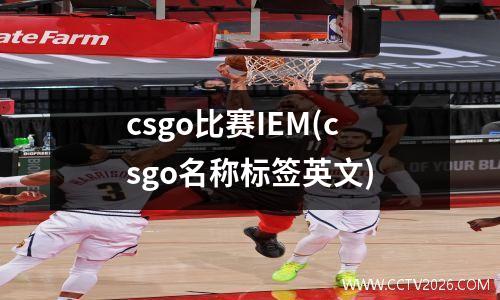 csgo比赛IEM(csgo名称标签英文)