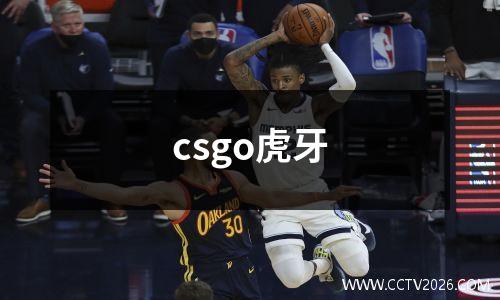 csgo虎牙