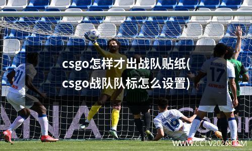 csgo怎样才出战队贴纸(csgo战队队标怎么设置)