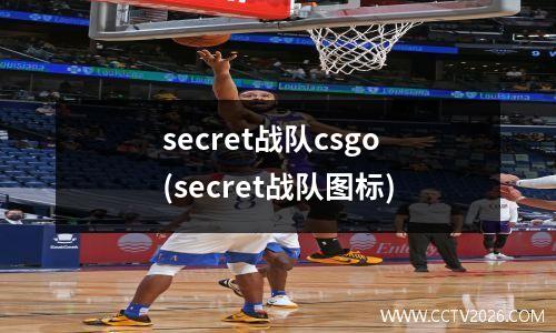 secret战队csgo(secret战队图标)