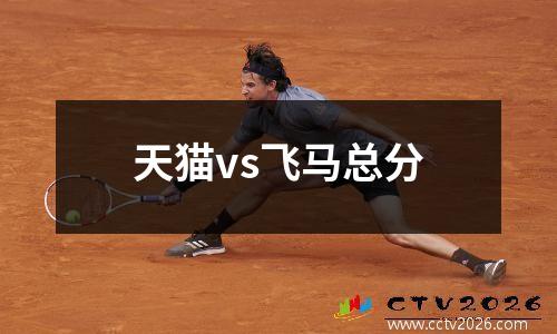 天猫vs飞马总分
