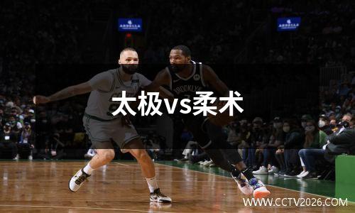 太极vs柔术