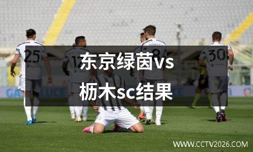 东京绿茵vs枥木sc结果