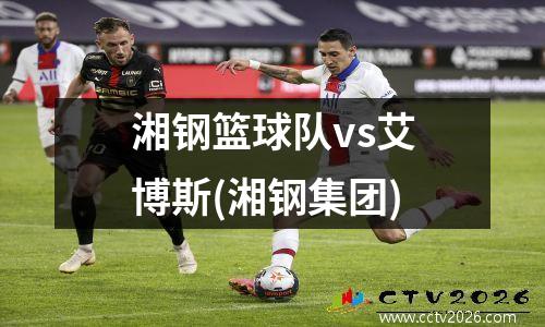 湘钢篮球队vs艾博斯(湘钢集团)