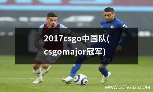 2017csgo中国队(csgomajor冠军)