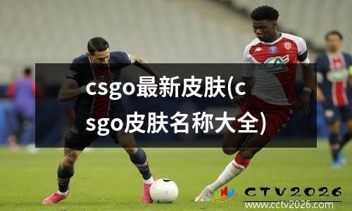 csgo最新皮肤(csgo皮肤名称大全)