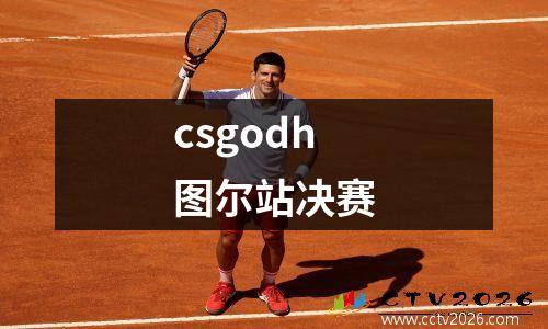 csgodh图尔站决赛