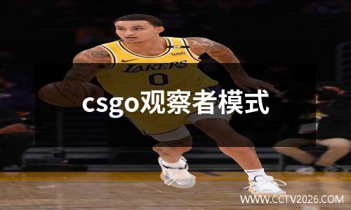 csgo观察者模式