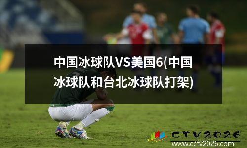 中国冰球队VS美国6(中国冰球队和台北冰球队打架)