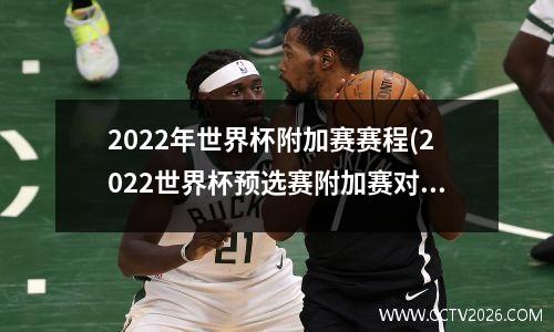 中国女子冰球队vs日本回放(中国女子冰球队世界排名)