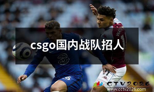 csgo国内战队招人