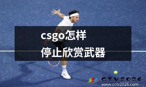 csgo怎样停止欣赏武器