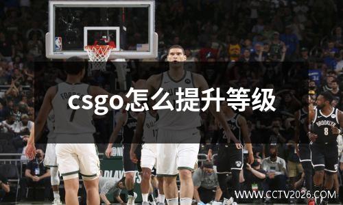 csgo怎么提升等级
