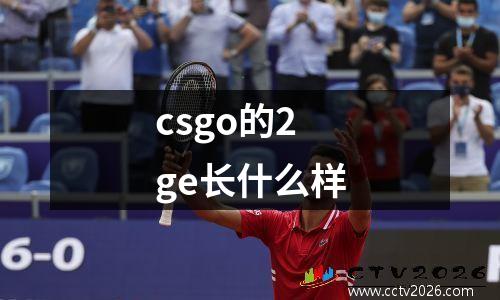 csgo的2ge长什么样