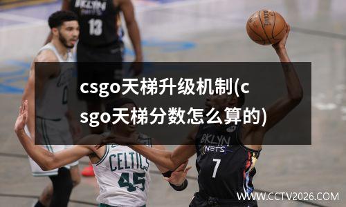 csgo天梯升级机制(csgo天梯分数怎么算的)