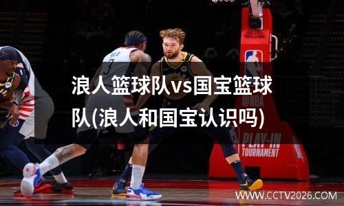 浪人篮球队vs国宝篮球队(浪人和国宝认识吗)