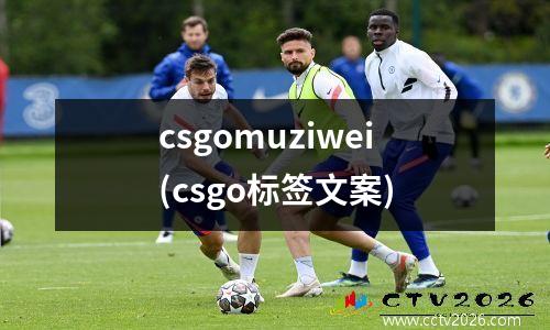 csgomuziwei(csgo标签文案)