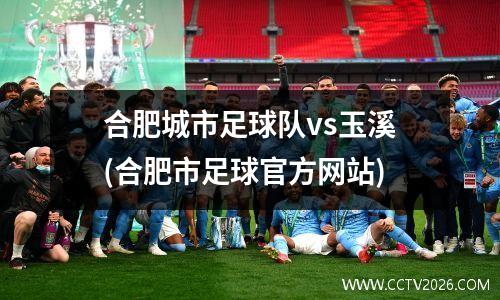 合肥城市足球队vs玉溪(合肥市足球官方网站)