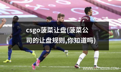csgo菠菜让盘(菠菜公司的让盘规则,你知道吗)