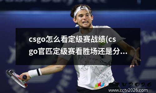 csgo怎么看定级赛战绩(csgo官匹定级赛看胜场还是分数)