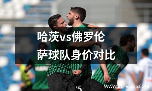 哈茨vs佛罗伦萨球队身价对比