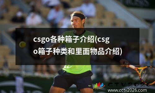 csgo各种箱子介绍(csgo箱子种类和里面物品介绍)