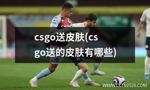 csgo送皮肤(csgo送的皮肤有哪些)
