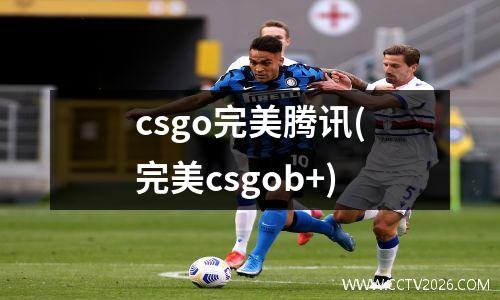 csgo完美腾讯(完美csgob+)