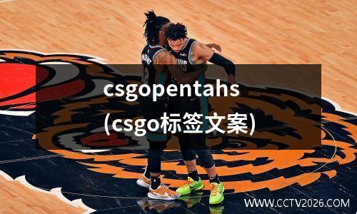 csgopentahs(csgo标签文案)