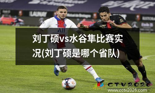 刘丁硕vs水谷隼比赛实况(刘丁硕是哪个省队)