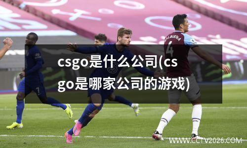 csgo是什么公司(csgo是哪家公司的游戏)