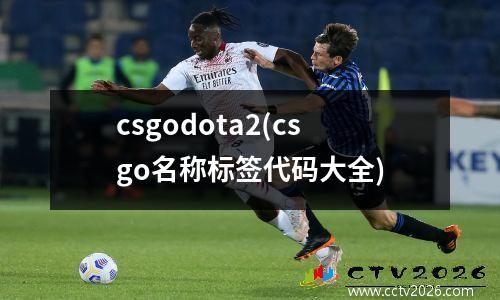 csgodota2(csgo名称标签代码大全)
