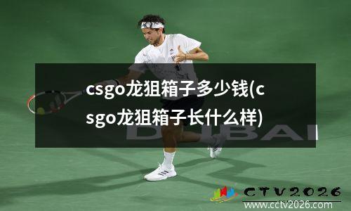 csgo龙狙箱子多少钱(csgo龙狙箱子长什么样)