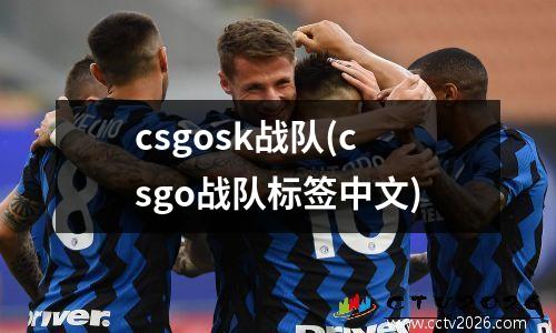 csgosk战队(csgo战队标签中文)